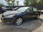 2009 HONDA ACCORD