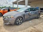 2017 NISSAN MAXIMA