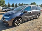 2023 HONDA ODYSSEY
