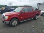 2014 FORD F150