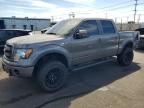 2013 FORD F150
