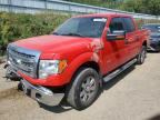 2013 FORD F150