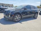2024 CADILLAC XT5