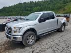 2015 FORD F150