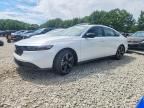 2025 HONDA ACCORD