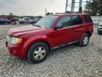 2011 FORD ESCAPE