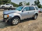 2010 FORD ESCAPE