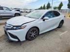 2022 TOYOTA CAMRY HYBRID
