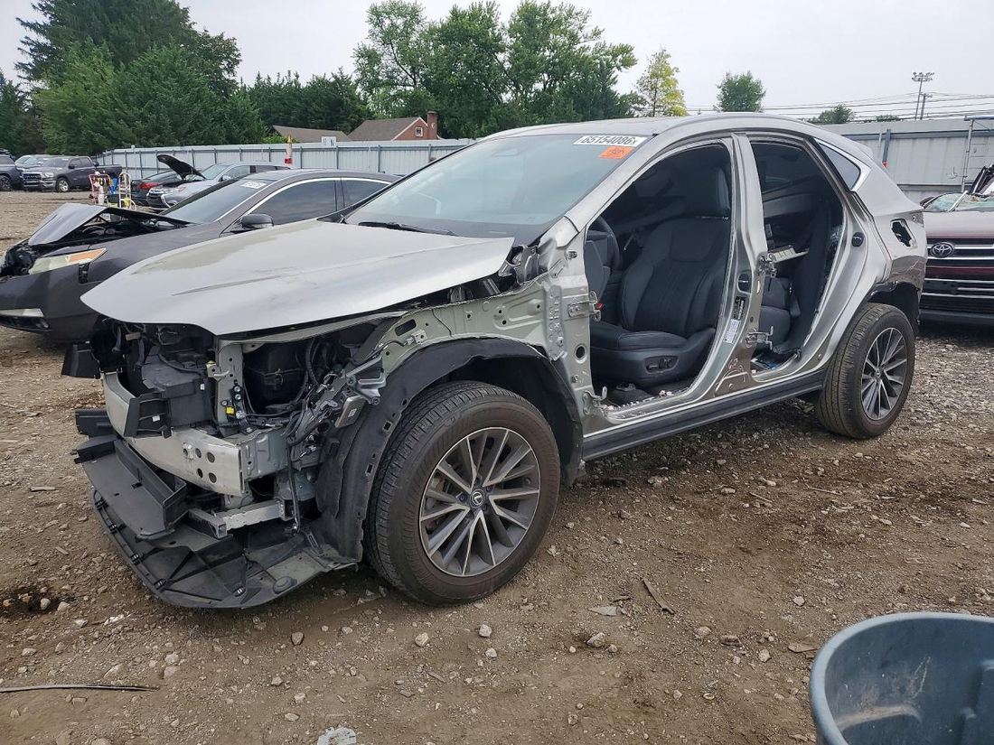 2024 LEXUS NX