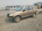 2004 HONDA CR-V