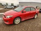 2009 TOYOTA COROLLA