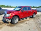 2014 FORD F150