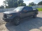 2013 FORD F150