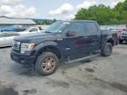 2013 FORD F150