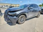 2024 LEXUS NX