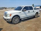 2013 FORD F150