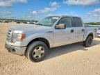 2010 FORD F150