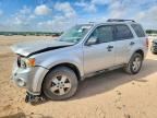 2010 FORD ESCAPE