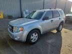 2009 FORD ESCAPE