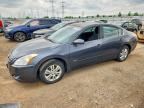 2010 NISSAN ALTIMA