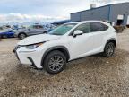 2019 LEXUS NX 300