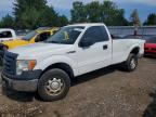 2010 FORD F150