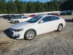 2019 CHEVROLET MALIBU