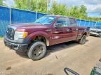 2010 FORD F150
