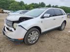2009 LINCOLN MKX