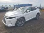 2020 LEXUS RX