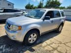 2011 FORD ESCAPE