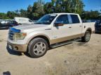 2014 FORD F150