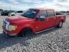 2012 FORD F150