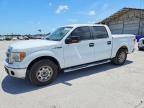 2013 FORD F150