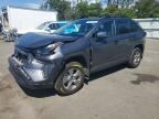 2024 TOYOTA RAV4 HYBRID