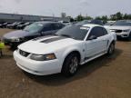 2004 FORD MUSTANG