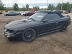 1996 FORD MUSTANG