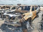2025 TOYOTA 4RUNNER