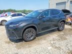 2025 LEXUS NX
