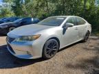 2013 LEXUS ES
