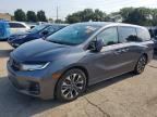 2025 HONDA ODYSSEY