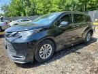 2021 TOYOTA SIENNA