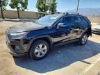 2024 TOYOTA RAV4 HYBRID