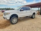 2013 FORD F150