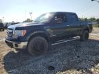 2014 FORD F150