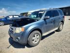 2010 FORD ESCAPE