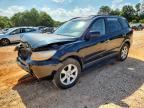 2009 HYUNDAI SANTA FE
