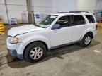 2009 MAZDA TRIBUTE