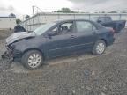 2003 TOYOTA COROLLA