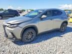 2025 LEXUS NX 250